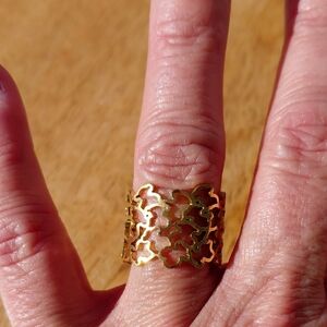 Elegant Gold-Tone Ring